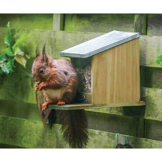 Squirrel Feeder By Esschert Design 8 Squirrel Feeder By Esschert Design