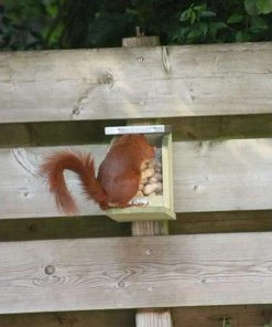 Squirrel Feeder By Esschert Design 12 Squirrel Feeder By Esschert Design