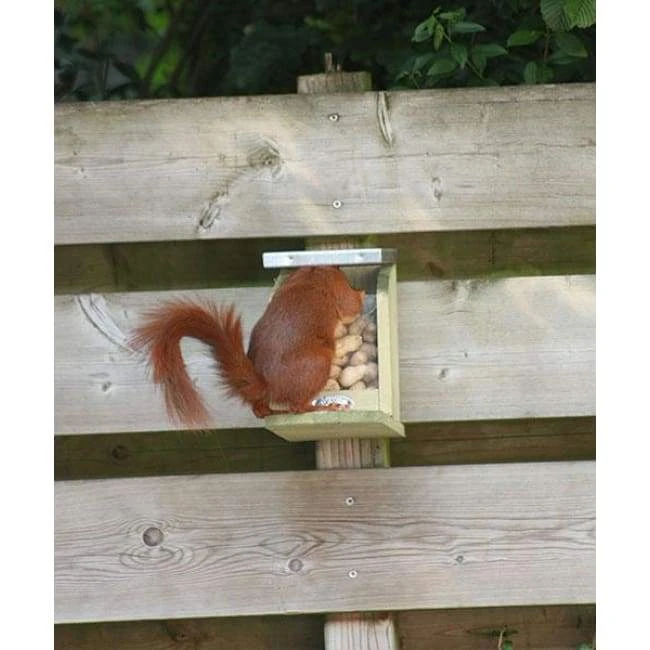 Squirrel Feeder By Esschert Design 7 Squirrel Feeder By Esschert Design