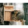 Squirrel Feeder By Woodlink Squirrels 1 Squirrel Feeder By Woodlink Squirrels