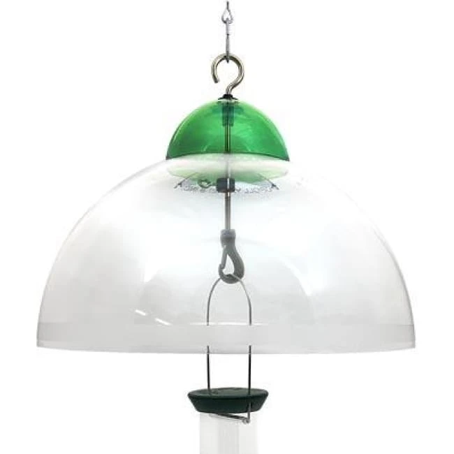 Droll Yankees Squirrel Guard, Green Bird Feeder Accessories 3 Droll Yankees Squirrel Guard, Green Bird Feeder Accessories