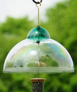 Droll Yankees Squirrel Guard, Green Bird Feeder Accessories 7 Droll Yankees Squirrel Guard, Green Bird Feeder Accessories