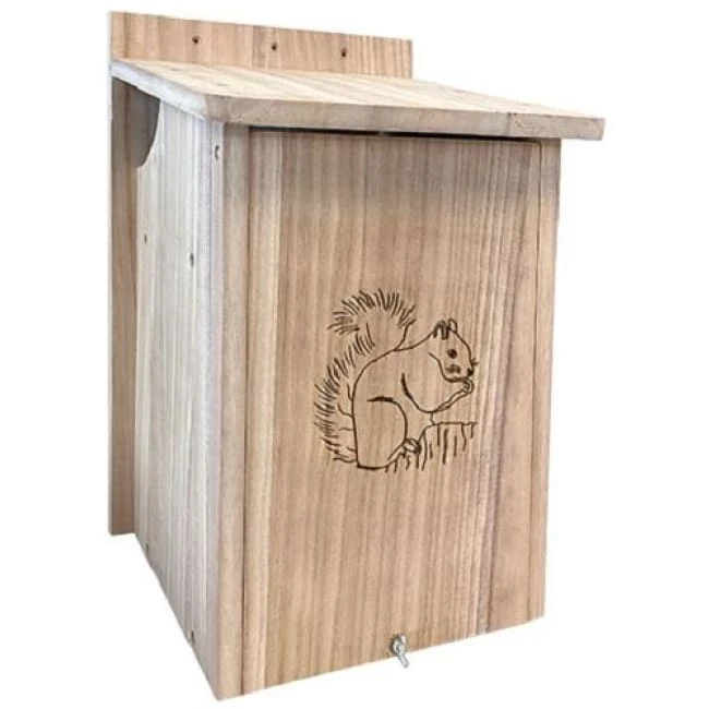 Prime Retreat Squirrel House Squirrels 3 Prime Retreat Squirrel House Squirrels