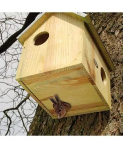 Squirrels Squirrel House By Esschert Design 8 Squirrels Squirrel House By Esschert Design