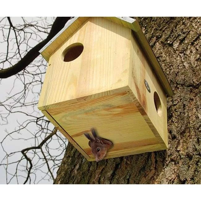 Squirrels Squirrel House By Esschert Design 5 Squirrels Squirrel House By Esschert Design
