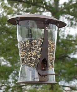 More Birds Hanging Feeders Squirrel X-2 Squirrel Proof Bird Feeder