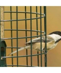 Stokes Select Squirrel Resistant Bird Feeder Cage Feeders