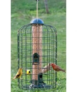 Stokes Select Squirrel Resistant Bird Feeder Cage Feeders