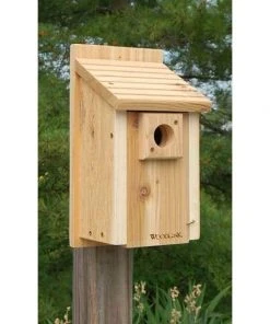Woodlink Traditional Bluebird House