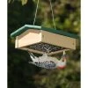 Songbird Essentials Upside-Down Green/Brown Suet Feeder Hanging Feeders 2 Songbird Essentials Upside-Down Green/Brown Suet Feeder Hanging Feeders