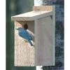 Looker Products View Thru Bluebird House 2 Looker Products View Thru Bluebird House