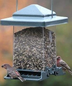Heritage Farms Hanging Feeders Vista Squirrel Proof Bird Feeder