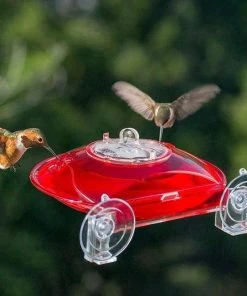 Droll Yankees Window Hummer III Hummingbird Feeder Hummingbird Feeders