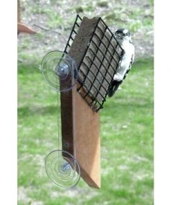 Looker Products Window Suet Feeder With Tail Prop Suet Feeders