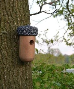Esschert Design Wooden Acorn Bird House