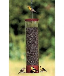 Droll Yankees Hanging Feeders Yankee Dipper Squirrel Proof Bird Feeder