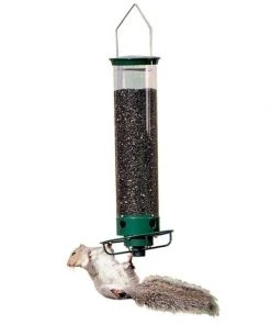 Droll Yankees Hanging Feeders Yankee Flipper Squirrel Proof Bird Feeder 10 Droll Yankees Hanging Feeders Yankee Flipper Squirrel Proof Bird Feeder