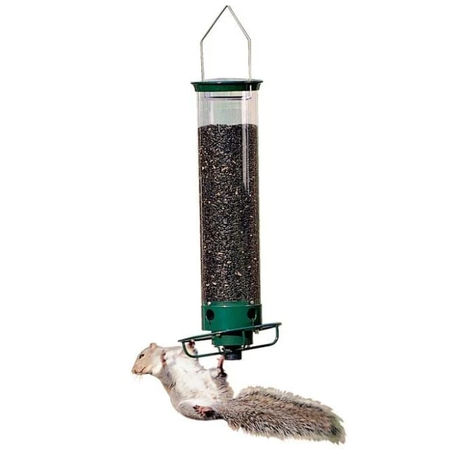 Droll Yankees Hanging Feeders Yankee Flipper Squirrel Proof Bird Feeder 6 Droll Yankees Hanging Feeders Yankee Flipper Squirrel Proof Bird Feeder