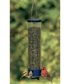 Droll Yankees Yankee Whipper Squirrel Proof Bird Feeder Hanging Feeders