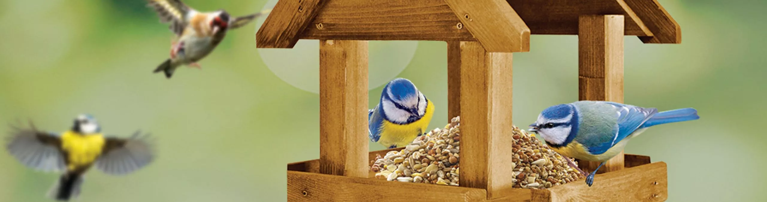 BirdHousesAndBaths Sales -BirdBliss Sales Shop banner768